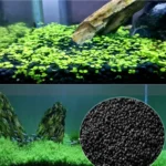 Black Sand Auarium Substrate 100g Fish Tank Bottom Sand for Succulents Pavement Vase Fillers Potted Plants Flower Arrangement