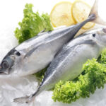 Kote Fish (Horse Mackerel)